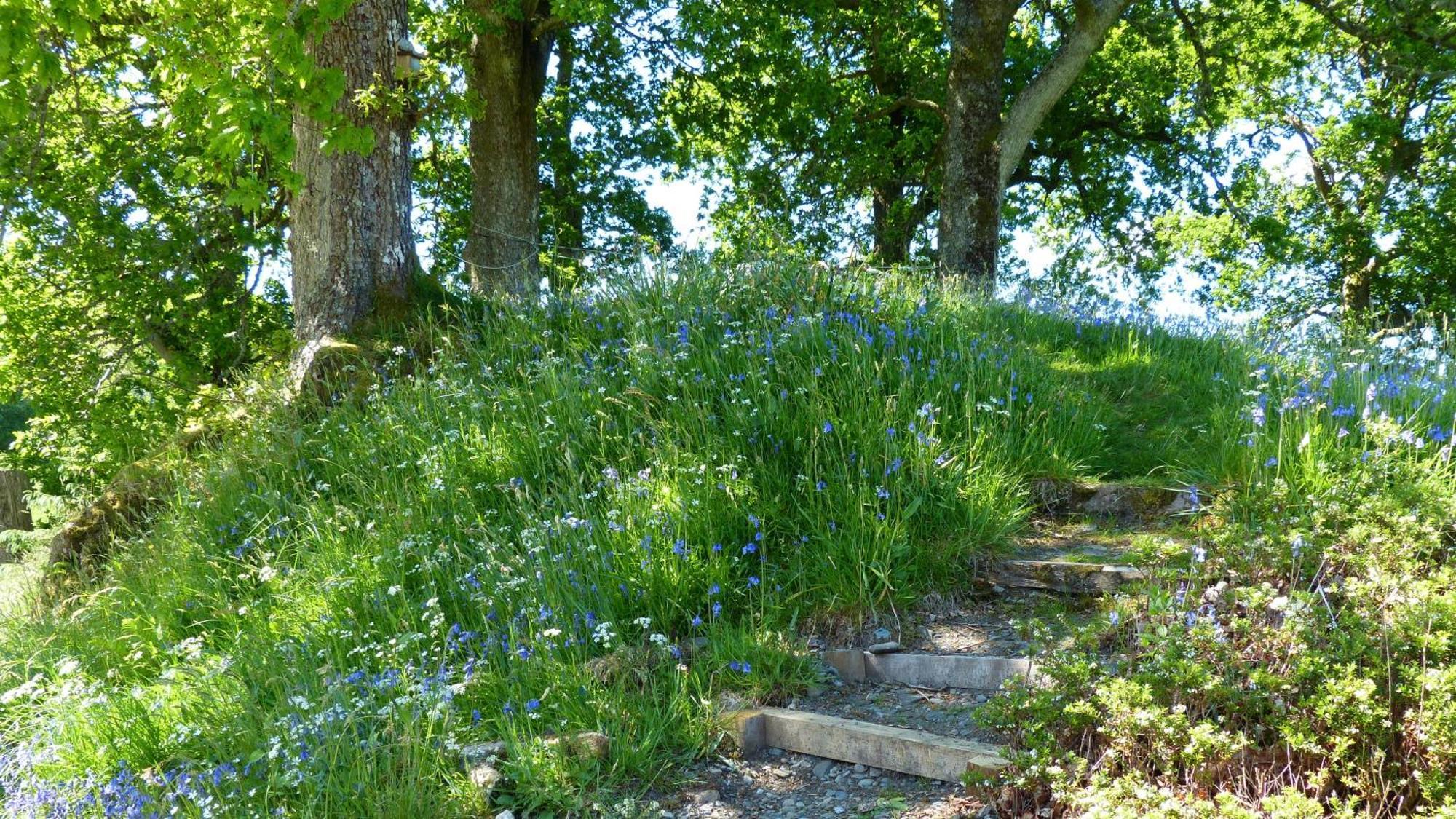 Blarghour Farm Cottages Ardchonnell Eksteriør bilde